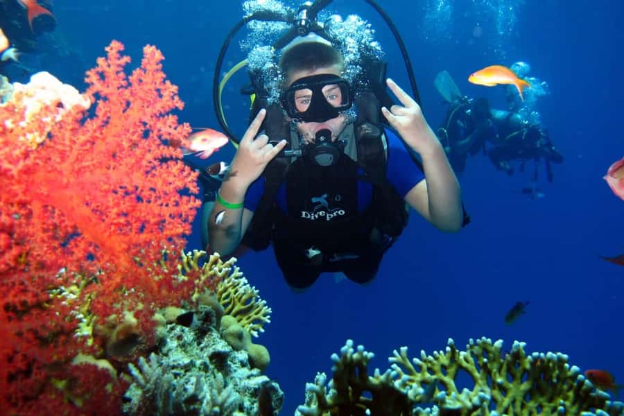 From Sharm: Ras Mohammed snorkeling cruise & optional diving - Price and value: what $31 gets you, plus the fees you may pay