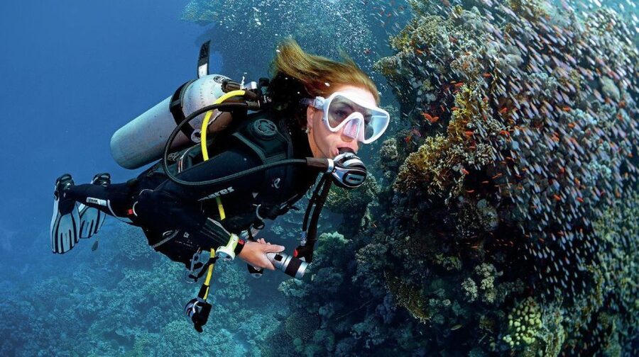 From Sharm: Ras Muhammed & White Island By Boat & intro Dive - Why Ras Muhammad and White Island works so well for a Sharm day