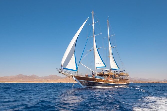 Full Day Boat Charter Rental in Sharm El Sheikh - Timing: The 9:00am Start and a Solid 7 to 8 Hours