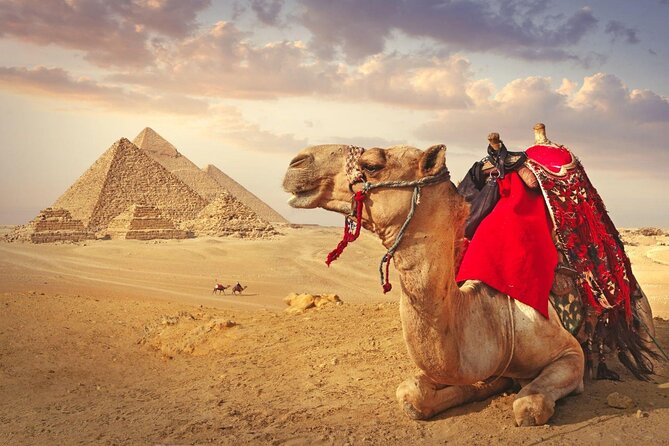 Full Day Cairo Guided Tour Pyramids and Museum, Lunch - Hurghada - The Egyptology Guide and lunch you won’t want to skip