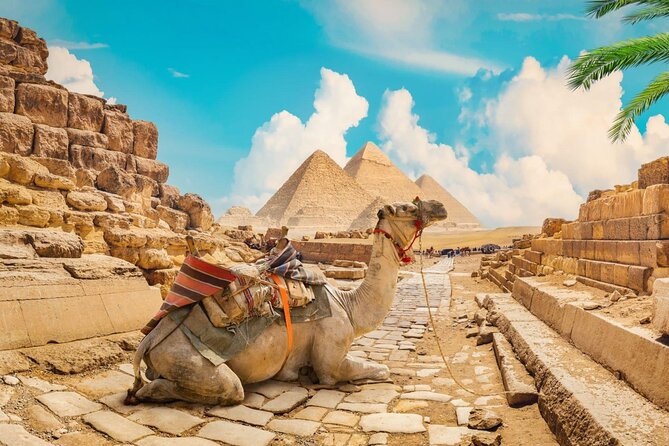 Full Day Cairo Guided Tour Pyramids and Museum, Lunch - Hurghada - Great Sphinx and Egypt Papyrus Museum: myth meets everyday tools