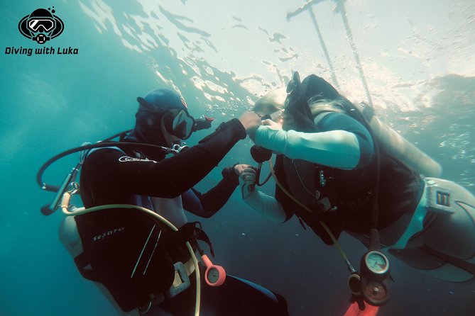 Full day diving with private guide, lunch drinks transportation - Key things I’d circle before you book