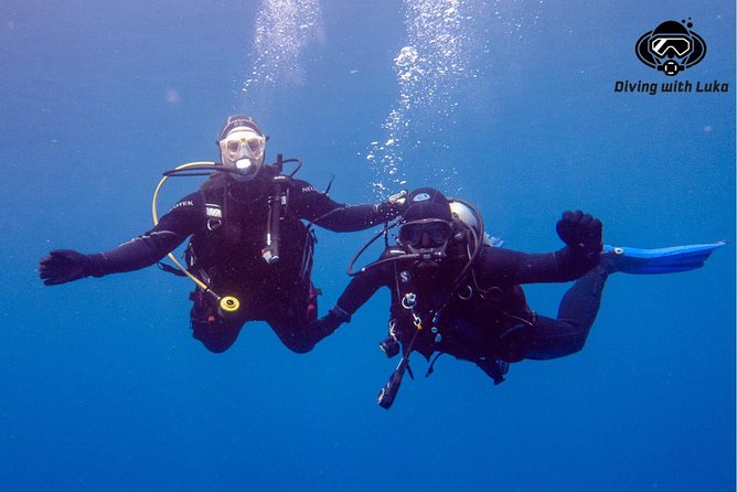 Full day diving with private guide, lunch drinks transportation - What you get for $81.10, and why it can be good value