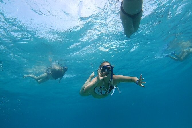 Full-day Dolphin House And Swim With Dolphin - Should You Book This Dolphin House and Swim With Dolphin Tour?