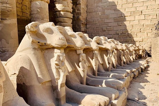 Full-Day East and West Luxor Private Tour - Comfort Stops: Water, Lunch Timing, and Optional Extras