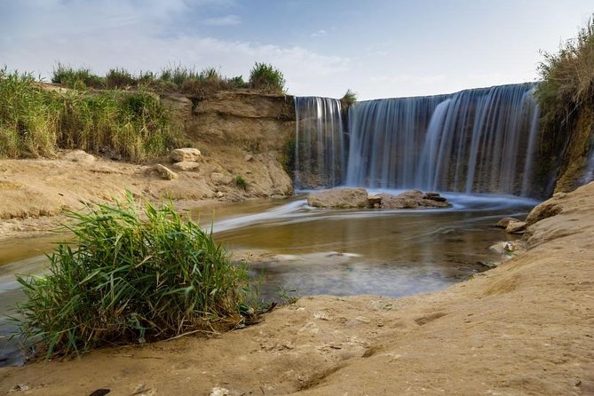 Full-Day Fayoum Oasis and Waterfalls of Wadi El-Rayan Tour from Cairo - Lake Qarun and the birds of a salty, scenic lake