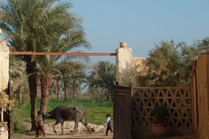 Full-Day Fayoum Oasis and Waterfalls of Wadi El-Rayan Tour from Cairo - Wadi El-Rayan waterfalls, the desert version of “wait, what?”