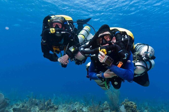 Full-day Scuba Diving Experience for Beginners & Lunch - Sharm El Sheikh - Key Points I’d Focus On