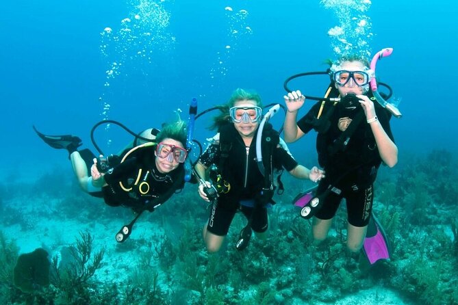 Full-day Scuba Diving Experience for Beginners & Lunch - Sharm El Sheikh - A Full-Day Red Sea Boat Schedule You Can Actually Plan Around