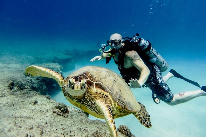 Full-day Scuba Diving Experience for Beginners & Lunch - Sharm El Sheikh - Your Reef Time: What Two Underwater Sessions Usually Mean