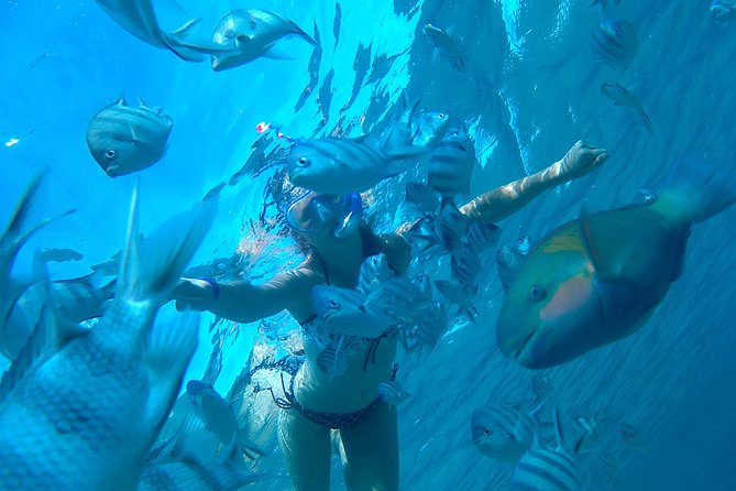Full-Day Snorkeling with Dolphins in Hurghada with Lunch - Key Things to Know Before You Go
