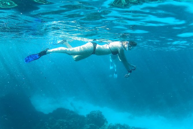 Full-Day Snorkeling with Dolphins in Hurghada with Lunch - Lunch on the Boat and Soft Drinks: What Usually Works, What to Watch