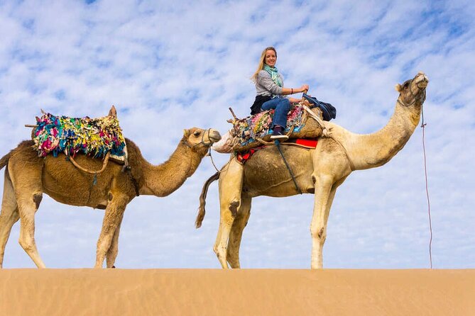 Full day tour Giza Pyramids Sphinx &Lunch and Shopping tour - Lunch Included: Koshary or Falafel for a Real Break