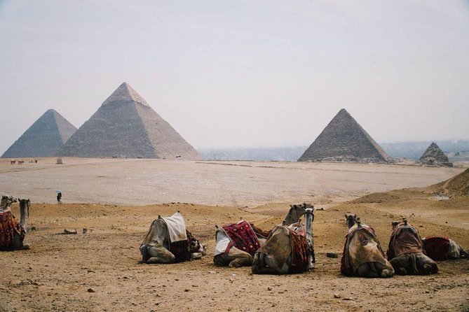 Full Day Tour to Pyramids of Giza, Saqqara Step Pyramids & Sound and Light Show - Why This Giza and Saqqara Day Feels Efficient