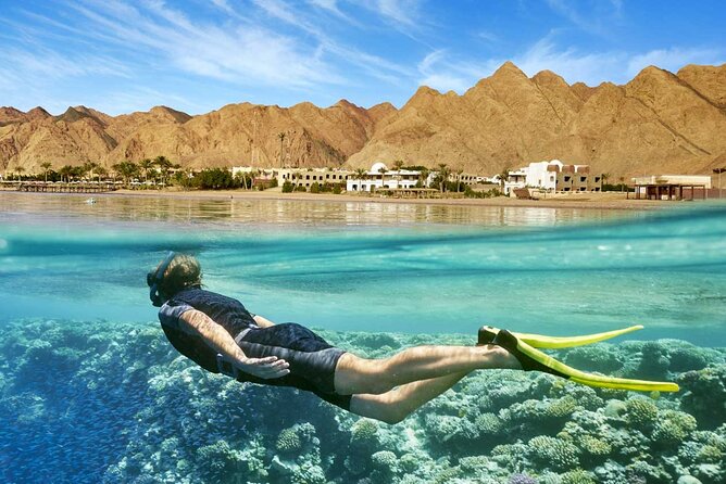 Full Relaxing Day To The Red Sea From Cairo Or Giza Hotel - Ain Sokhna Arrival: Day-Use Room Check-In and What You Get at the Resort