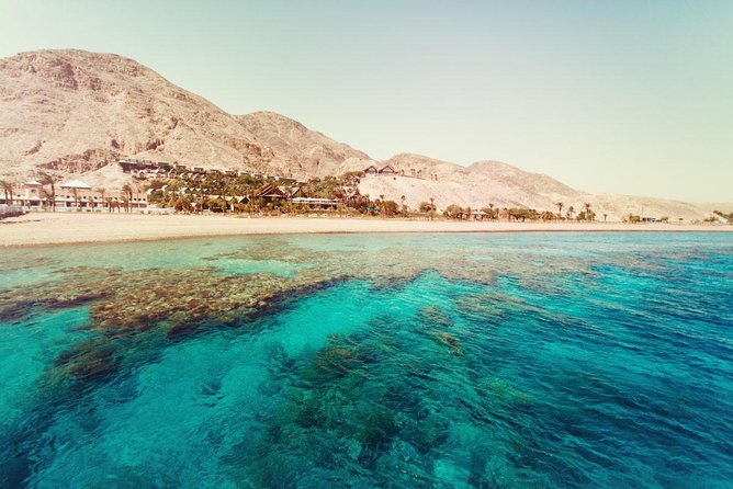 Full Relaxing Day To The Red Sea From Cairo Or Giza Hotel - Price and Value: Is $63 a Good Deal for This Red Sea Day?