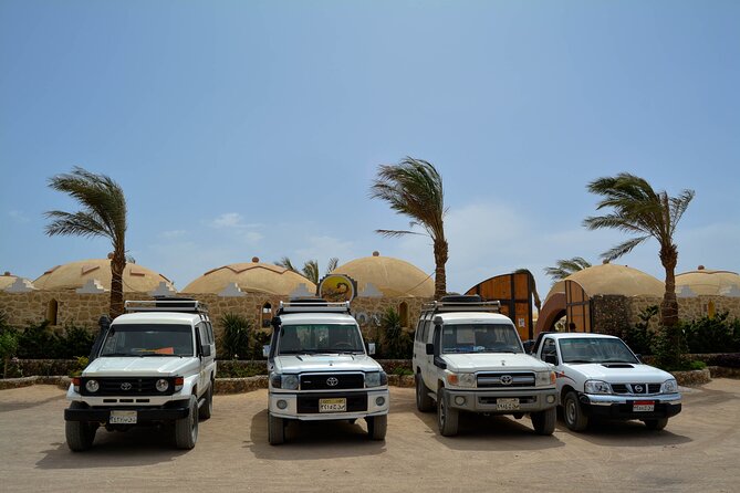 Fun Safari ATV, Buggy Car and Dinner, Show-Hurghada - Staff, Guides, and the Added Context You’ll Appreciate