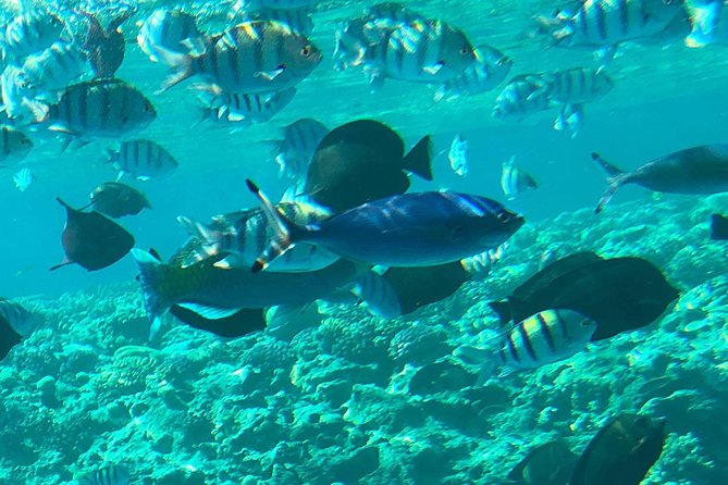 Giftun Island ( Orange bay ) from Hurghada - The Boat Ride to Giftun Island (Orange Bay)