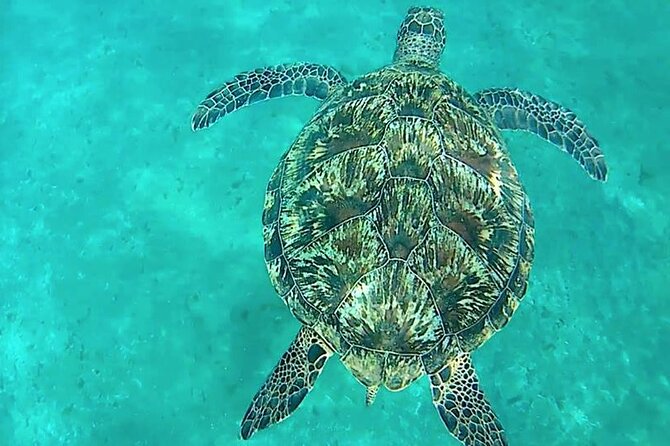 Giftun Island ( Orange bay ) from Hurghada - Orange Bay Beach Time: Make the Most of That One-Hour Window