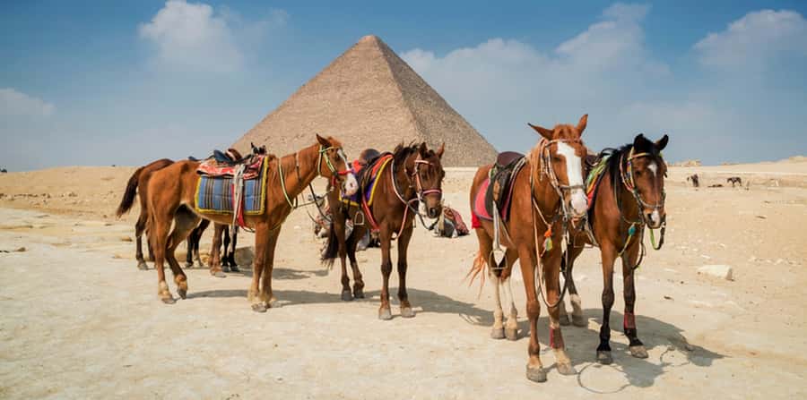 Giza: Arabian Horse Tour Around the Giza Pyramids - Who This Horse and Camel Ride Suits Best