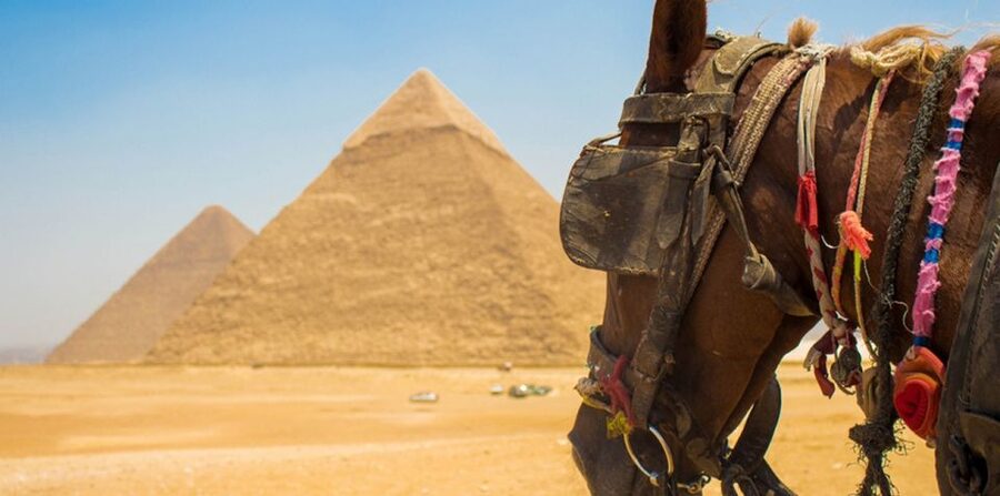 Giza: Arabian Horse Tour Around the Giza Pyramids - What to Bring for a Comfortable Ride in the Sun