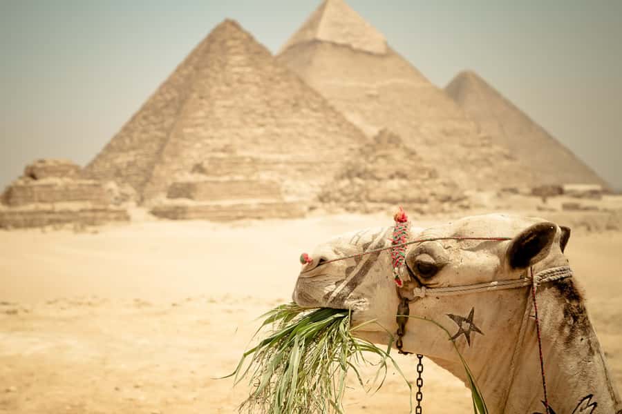 Giza Pyramids and Sphinx: Half-Day Private or Group Tour - Sphinx Close-Up: Best Angles, Funny Poses, and Real Context