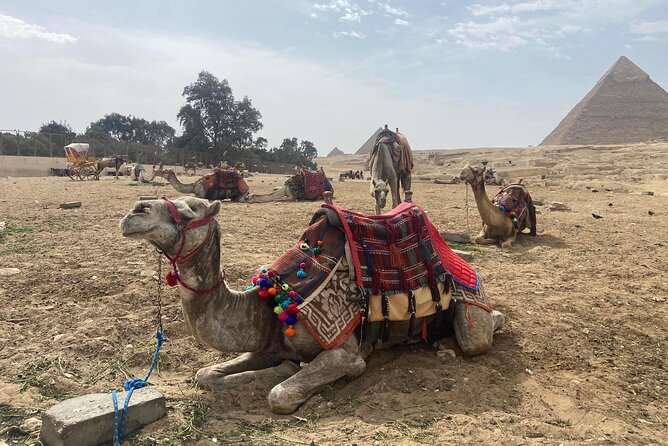 Giza Pyramids,Sphinx,Camel Ride,ATV Bike,Shopping, Dinner cruise - Price and upgrades: where $22.05 fits, and how to pick the right package