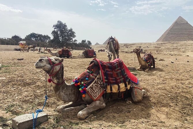 Giza Pyramids,Sphinx,Camel Ride,ATV Bike,Shopping, Dinner cruiseI - Stop 5: Great Sphinx, the land’s limestone guardian