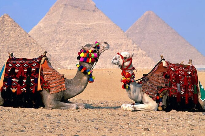 Giza Pyramids, Sphinx, Memphis, Saqqara, with private tour guide - Camel ride and panoramic stops: fun, but keep it short and practical