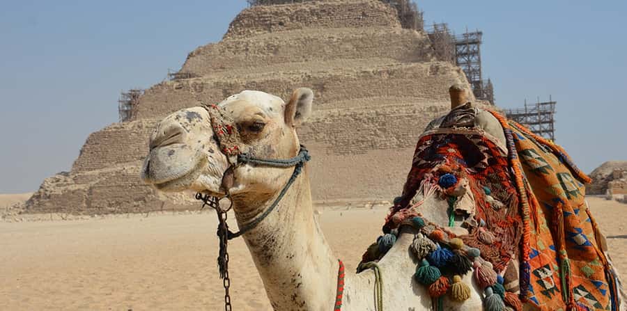 Giza: Sakkara, Memphis & Dahshur (Pyramid & Felucca Options) - Price and value: is $55 per person fair for what you get?