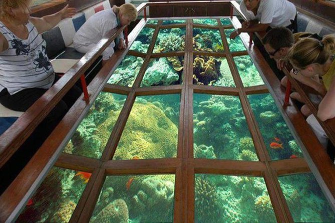 Glass Bottom Boat Excursion in Sharm El Sheikh - Key Highlights You Should Care About