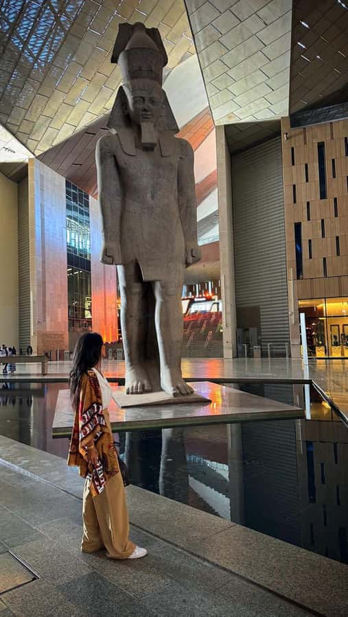 Grand Egyptian Museum Private Guided Tour(GEM) - What the guide and audio support really mean for your day