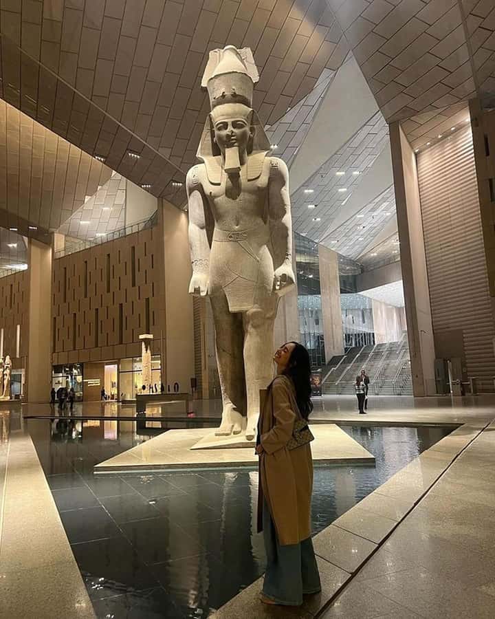 Grand Egyptian Museum Private Guided Tour(GEM) - Price and value: does $115 per person add up here?