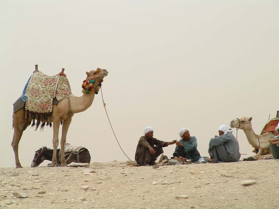 Half-Day Cairo Sightseeing Tour to Pyramids of Giza & Sphinx - Key things I’d look for before you go