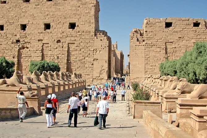 Half Day East Bank Tour to Luxor and Karnak Temples (Private) - Private Guide Time, Including Irene’s Example of Flexible Communication