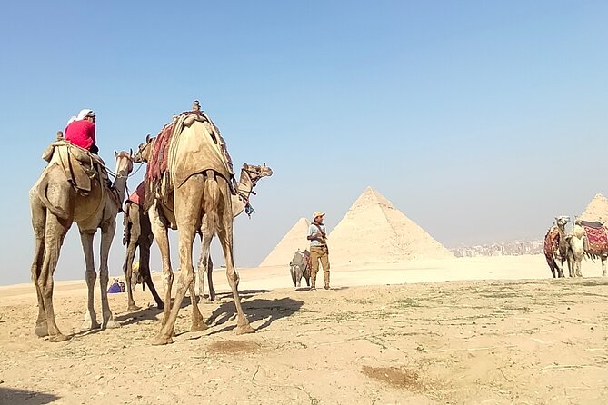 Half day Giza pyramids and Sphinx tour with an Egyptologist - Entrance fees, inside-pyramid tickets, and what your money covers