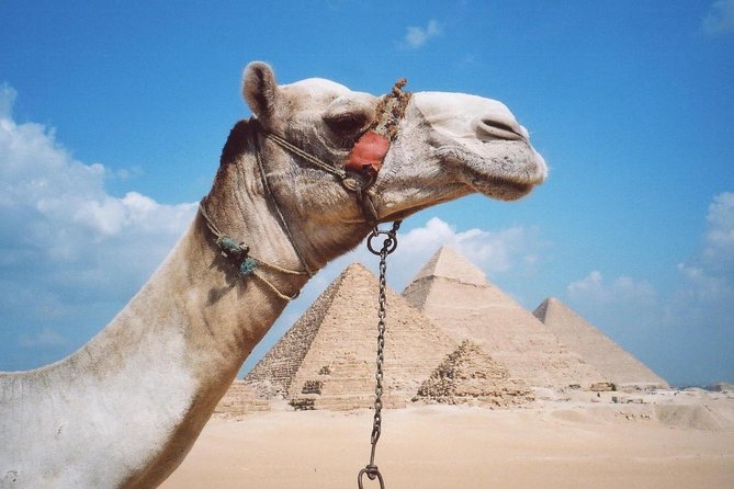 Half-Day Private tour to Pyramids of Giza and Sphinx - Who this tour fits best