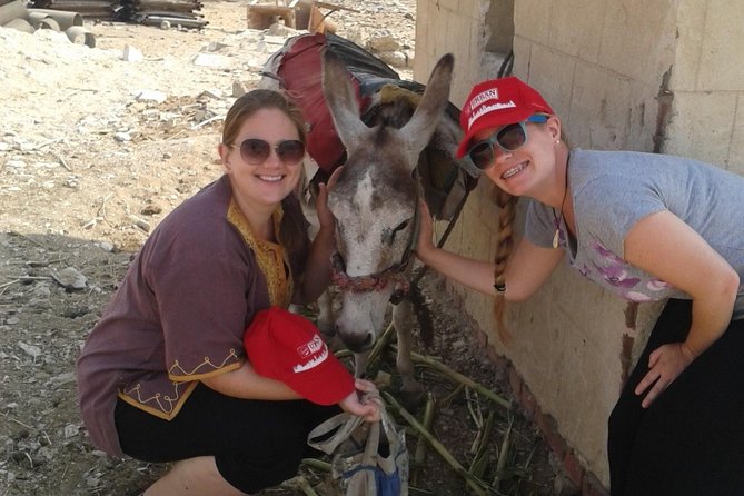 Half-Day Saqqara Pyramids and Memphis Tour from Cairo - Dress code and what to bring for heat and modesty