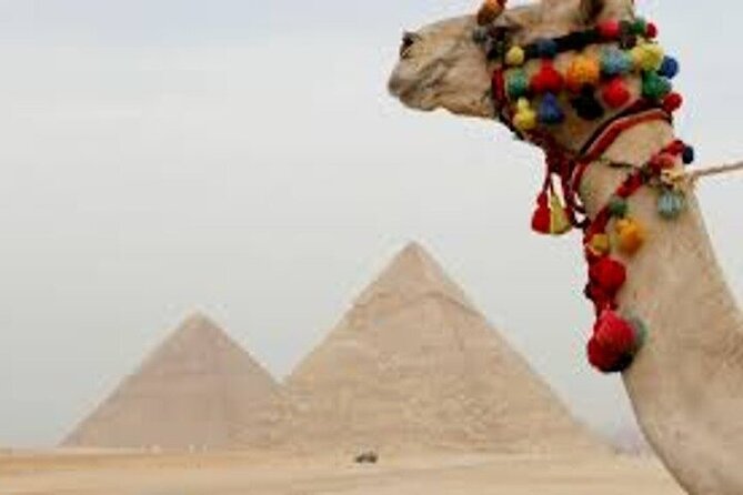 Half Day Tour To Giza Pyramids And Sphinx - Great Sphinx: the hour that turns photos into scale
