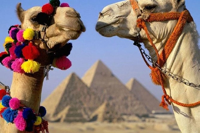 Half Day Tour to Giza Pyramids & Sphinx - Getting to Giza Without Cairo Traffic Anxiety