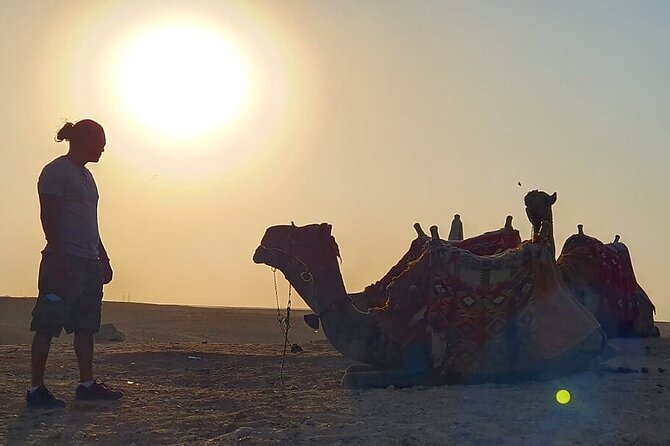 Half-day Trip to Pyramids and the Sphinx with Camel ride - Great Sphinx and Valley Temple: the story beyond the postcard