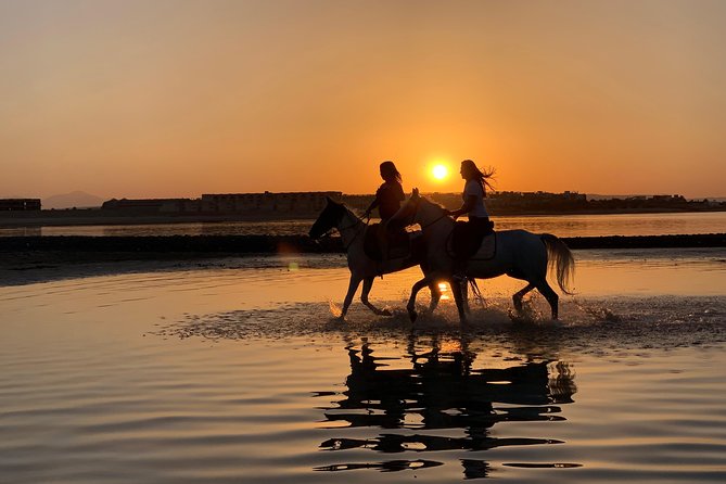 Horse Riding 3 Hours Beach, Desert, & Swimming By Horse in red sea - Hurghada - From Hurghada Desert to Red Sea Horse Swim, what the timing means