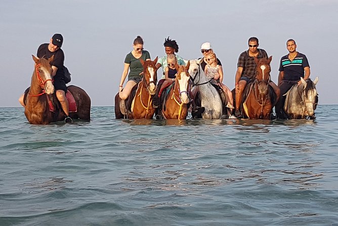 Horse Riding 3 Hours Beach, Desert, & Swimming By Horse in red sea - Hurghada - Hotel pickup and the smooth start, no map skills needed