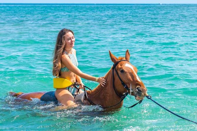 Horse Riding Beach or Desert with transfer from Sharm El Sheikh - Saddle Up in Sharm El Sheikh: What This 2-Hour Ride Gets Right