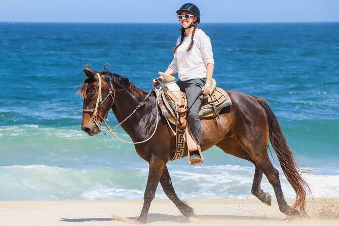 Horse Riding on the beach With Transfer From Sharm El Sheikh - Key things to know before you book