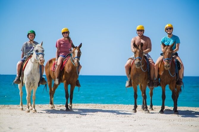 Horse Riding on the beach With Transfer From Sharm El Sheikh - Pickup From Your Sharm Hotel, and Why Timing Feels Important