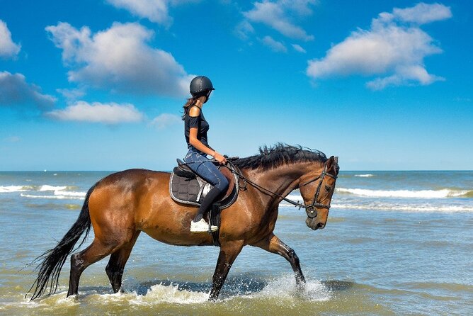 Horse Riding on the beach With Transfer From Sharm El Sheikh - Riding the Red Sea Shore: Your 1-Hour or 2-Hour Beach Option