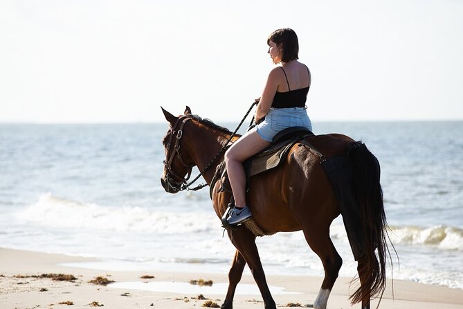 Horse Riding on the beach With Transfer From Sharm El Sheikh - Price and Value: How $8.43 Adds Up With the 5 Euro Fee