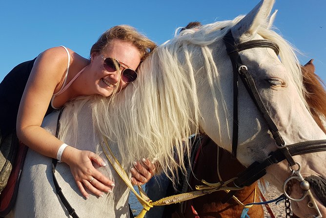 Horse Riding Tour 2 Hours on Sea And Desert & Transfer -Hurghada - Key highlights worth your attention