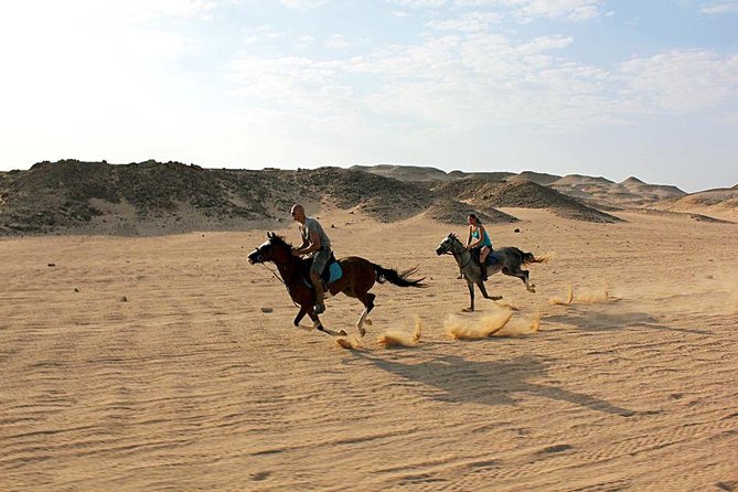 Horse Riding Tour 2 Hours on Sea And Desert & Transfer -Hurghada - Price and value: $14 is the headline, not the total cost